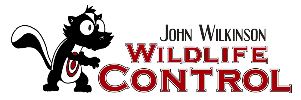 logo wilkinson wildlife control